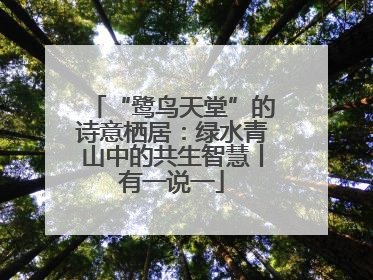 “鹭鸟天堂”的诗意栖居：绿水青山中的共生智慧丨有一说一