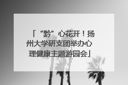 “黔”心花开！扬州大学研支团举办心理健康主题游园会