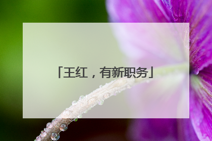 王红，有新职务