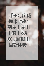 王哥庄喊你来“趣”割麦！麦田里的丰收狂欢，解锁田园新体验