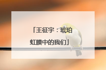 王征宇：琥珀虹膜中的我们