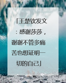 王楚钦发文：感谢莎莎，谢谢不管多痛苦也想证明一切的自己