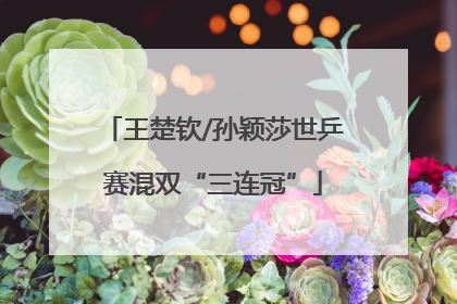 王楚钦/孙颖莎世乒赛混双“三连冠”