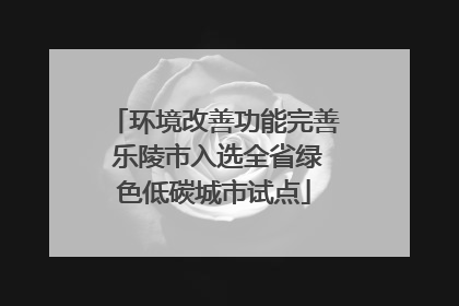 环境改善功能完善 乐陵市入选全省绿色低碳城市试点