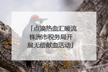 点滴热血汇暖流 株洲市税务局开展无偿献血活动