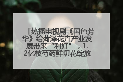 热播电视剧《国色芳华》给菏泽花卉产业发展带来“利好”，1.2亿枝芍药鲜切花绽放“国色芳华”