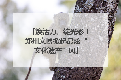 焕活力、绽光彩！郑州文博掀起最炫“文化遗产”风