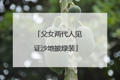 父女两代人见证沙地披绿装