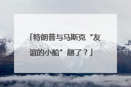 特朗普与马斯克“友谊的小船”翻了?