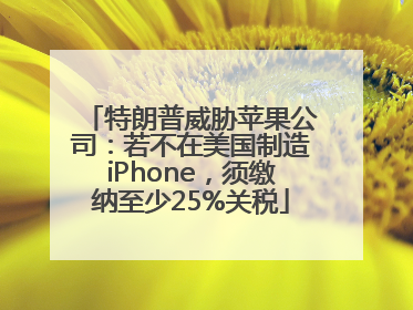 特朗普威胁苹果公司：若不在美国制造iPhone，须缴纳至少25%关税