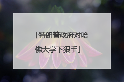 特朗普政府对哈佛大学下狠手