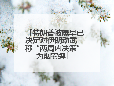 特朗普被曝早已决定对伊朗动武 称“两周内决策”为烟雾弹