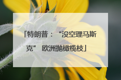 特朗普：“没空理马斯克” 欧洲抛橄榄枝
