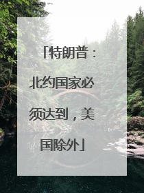特朗普：北约国家必须达到，美国除外