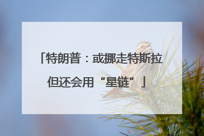 特朗普：或挪走特斯拉 但还会用“星链”