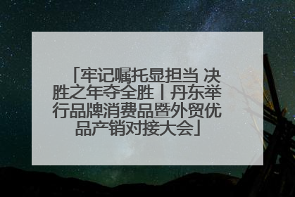 牢记嘱托显担当 决胜之年夺全胜丨丹东举行品牌消费品暨外贸优品产销对接大会