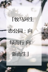 牧马河生态公园：向绿而行 向新而生