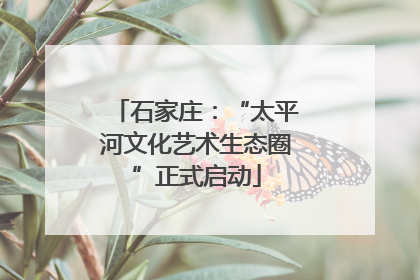 石家庄：“太平河文化艺术生态圈”正式启动