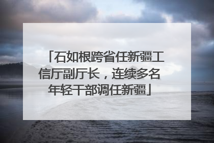 石如根跨省任新疆工信厅副厅长，连续多名年轻干部调任新疆