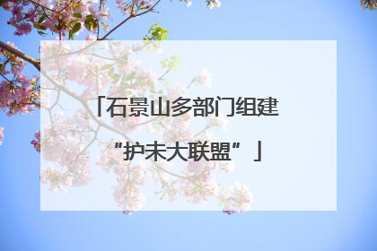 石景山多部门组建“护未大联盟”