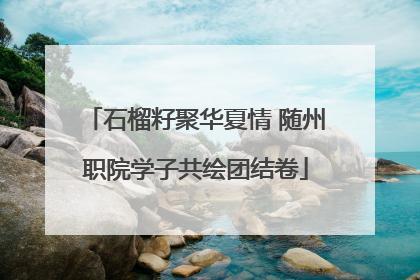 石榴籽聚华夏情 随州职院学子共绘团结卷