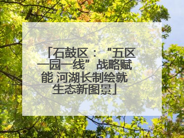 石鼓区：“五区一园一线”战略赋能 河湖长制绘就生态新图景