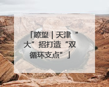 瞭望｜天津“大”招打造“双循环支点”
