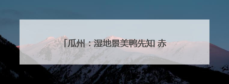 瓜州：湿地景美鸭先知 赤麻鸭为荒漠湿地“上大分”