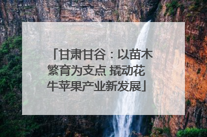 甘肃甘谷：以苗木繁育为支点 撬动花牛苹果产业新发展