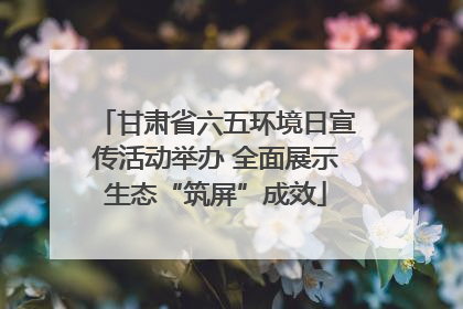 甘肃省六五环境日宣传活动举办 全面展示生态“筑屏”成效