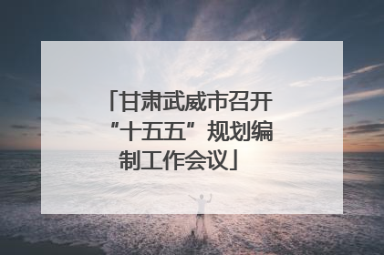 甘肃武威市召开“十五五”规划编制工作会议