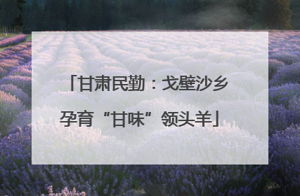 甘肃民勤：戈壁沙乡孕育“甘味”领头羊