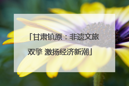甘肃镇原：非遗文旅双擎 激扬经济新潮
