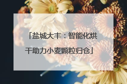 盐城大丰：智能化烘干助力小麦颗粒归仓