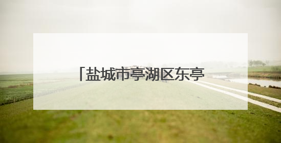盐城市亭湖区东亭湖街道北林社区开展端午节主题活动