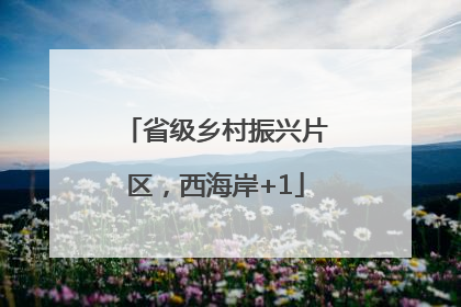 省级乡村振兴片区，西海岸+1