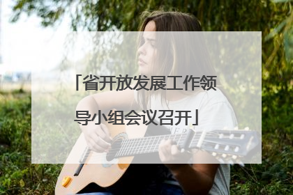 省开放发展工作领导小组会议召开