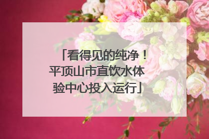 看得见的纯净！平顶山市直饮水体验中心投入运行