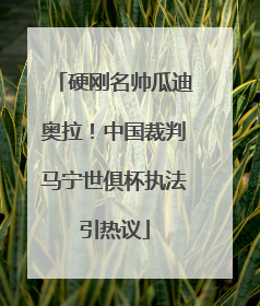 硬刚名帅瓜迪奥拉！中国裁判马宁世俱杯执法引热议
