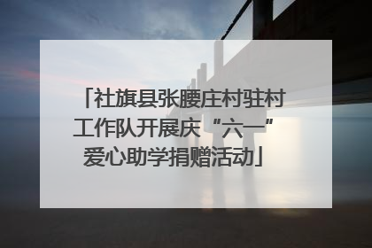 社旗县张腰庄村驻村工作队开展庆“六一”爱心助学捐赠活动