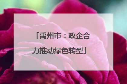 禹州市：政企合力推动绿色转型