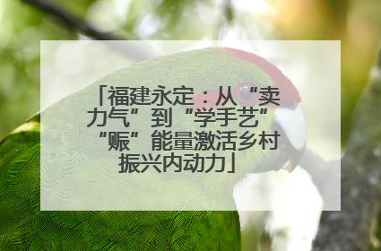 福建永定：从“卖力气”到“学手艺”“赈”能量激活乡村振兴内动力