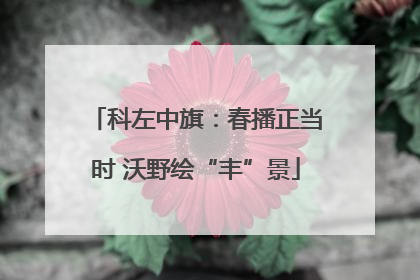 科左中旗：春播正当时 沃野绘“丰”景