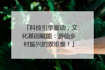 科技引擎驱动，文化基因赋能：游仙乡村振兴的双重奏！