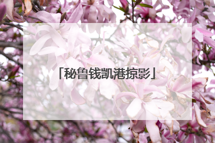 秘鲁钱凯港掠影