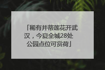 稀有并蒂莲花开武汉，今夏全城28处公园点位可赏荷