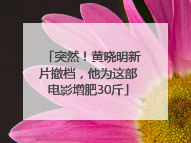 突然！黄晓明新片撤档，他为这部电影增肥30斤
