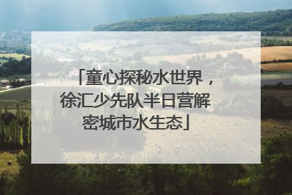 童心探秘水世界，徐汇少先队半日营解密城市水生态