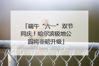 端午“六一”双节同庆！哈尔滨极地公园将重磅升级