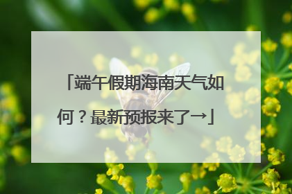 端午假期海南天气如何？最新预报来了→